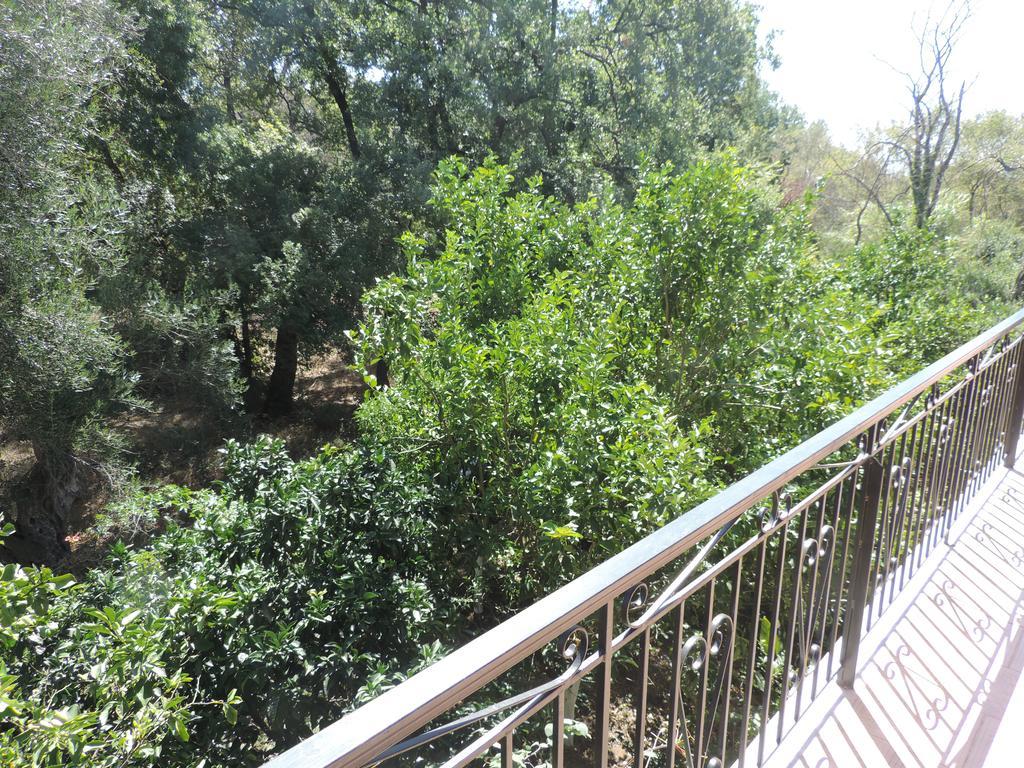 Alexandra Spingou Apartments Dassia  Zewnętrze zdjęcie