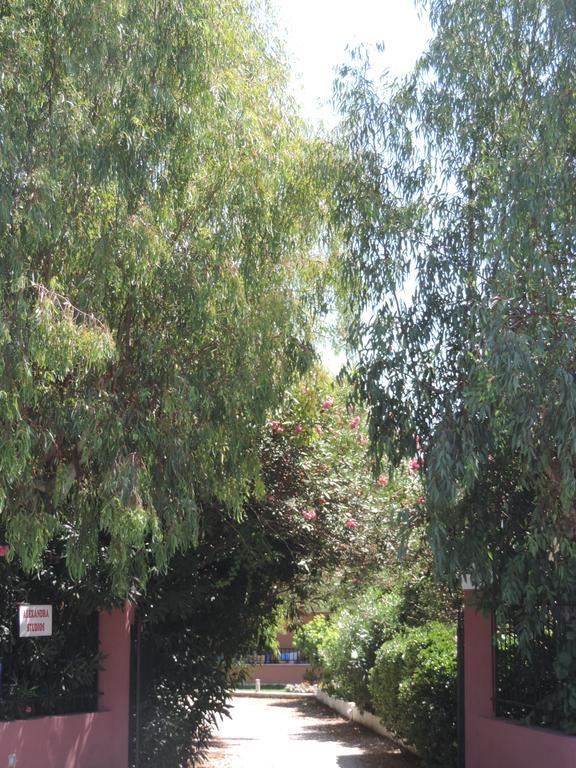 Alexandra Spingou Apartments Dassia  Zewnętrze zdjęcie